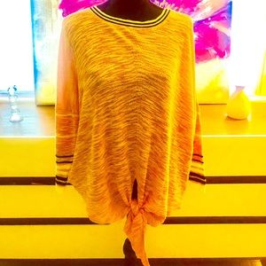 Express light sweater V-Neck